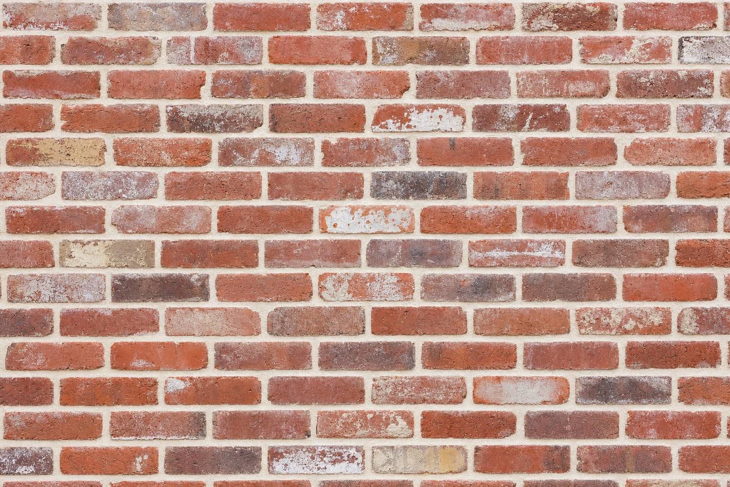 Reclaimed Cream Mortar